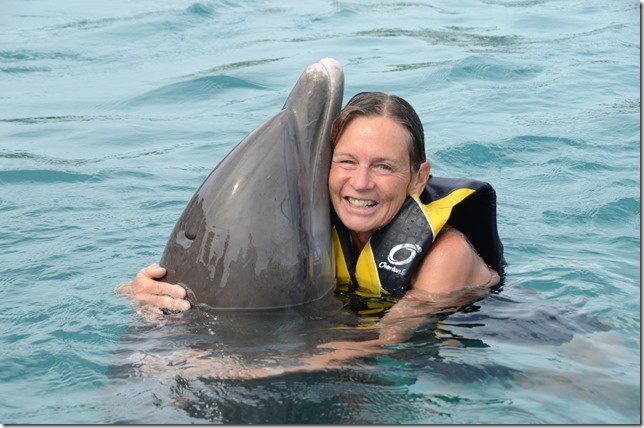 Dolphin Hug, OC