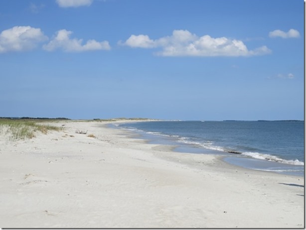 visasmallCarrot Island, looking out towards Cape Look Outdavid