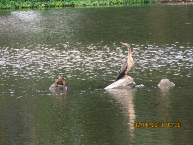 image4.jpeg