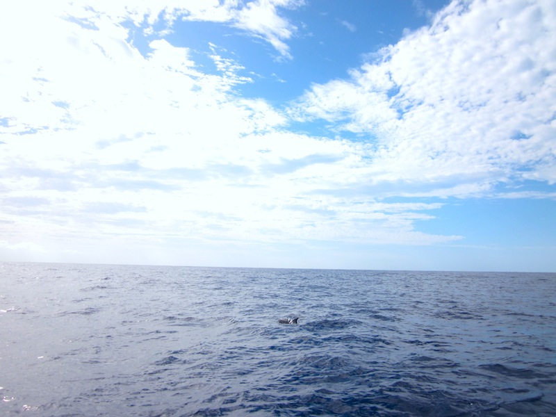 Inline image 6
