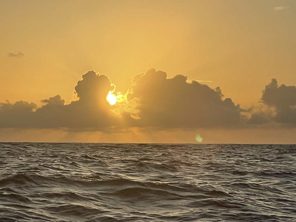 C166B1E5-A574-4A7B-80AD-904A058688AC_1_105_c.jpeg