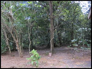 IMG_3320