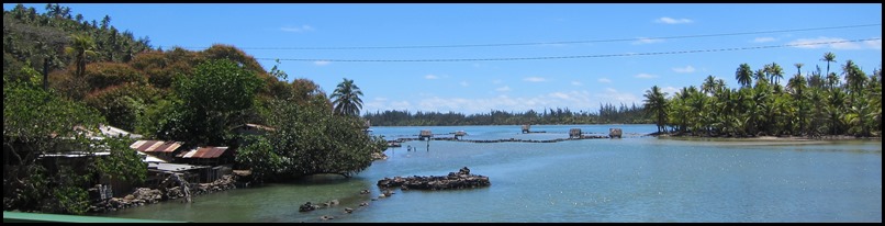 IMG_3731