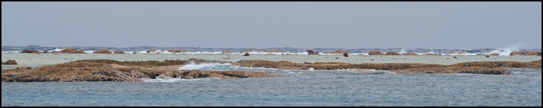 DSC_8716