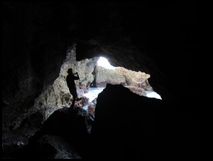 IMG_6786