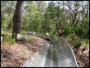 IMG_0174