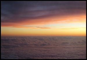 IMG_7412