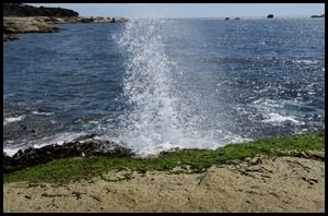 IMG_3146