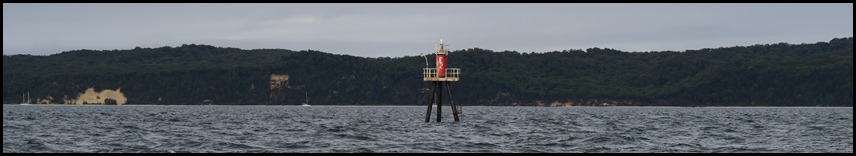 IMG_5560