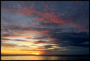 IMG_5580