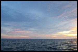 IMG_5344