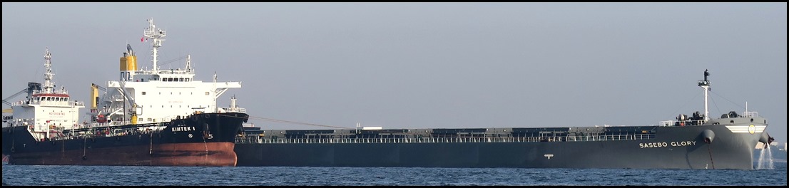 IMG_7954