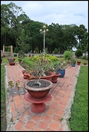 IMG_0096