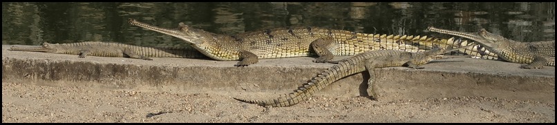 IMG_0097