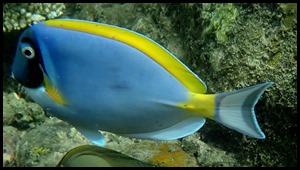 P2160030