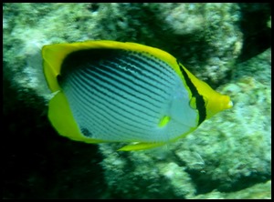 IMG_5803