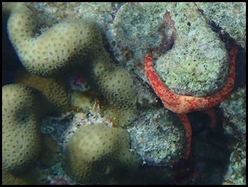 P7090109