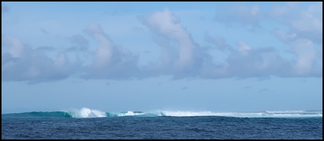 IMG_0019