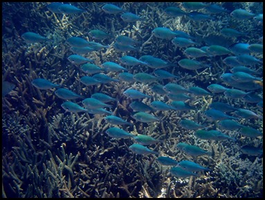 P9200030