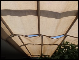 P1140001