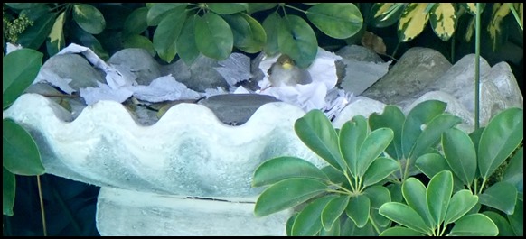 P1030018