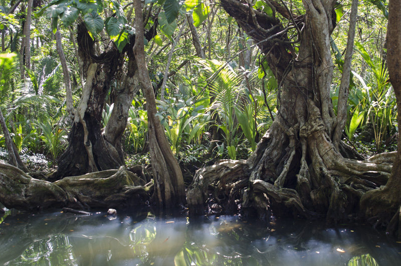 Indian River