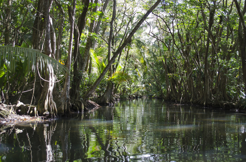Indian River
