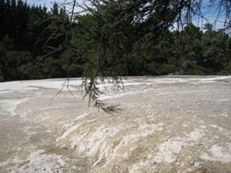 Rotorua 137.jpg