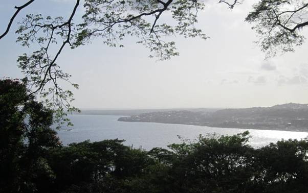 IMG_0078 (2)