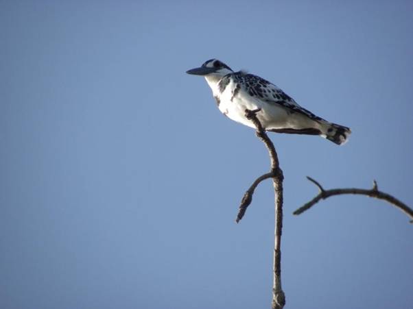 IMGP3853