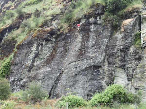 image8.jpeg