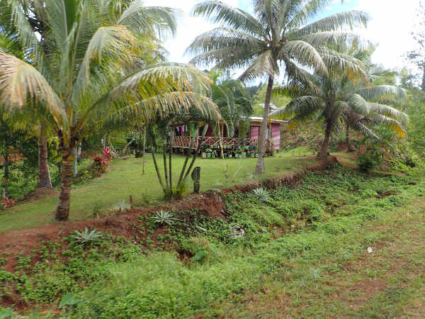 image4.jpeg
