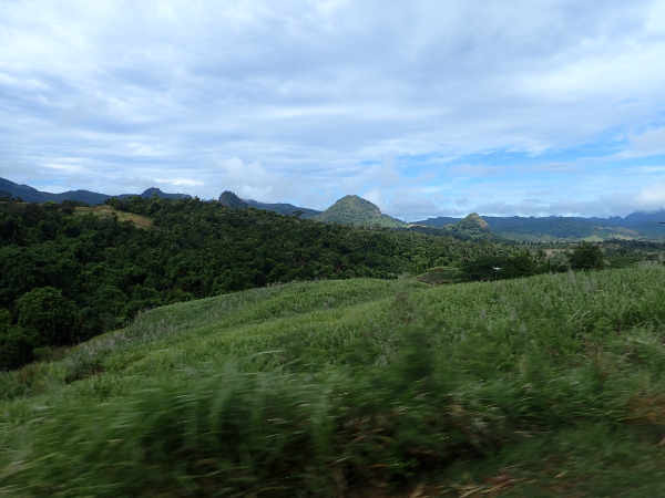 image5.jpeg
