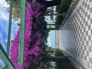 IMG_4709.jpeg