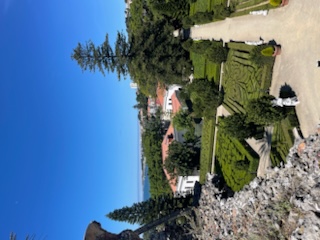 IMG_2466.jpeg