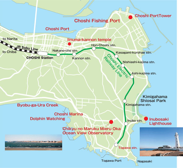 image1.JPG