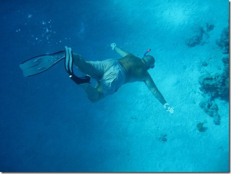 Underwater 292