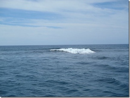 Asua Harbour 047