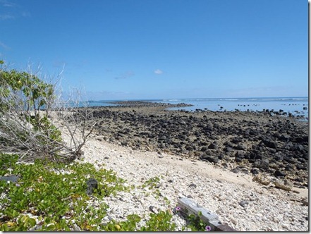 Asua Harbour 065