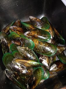 cid:image005.jpg@01D00CE3.2784ABA0