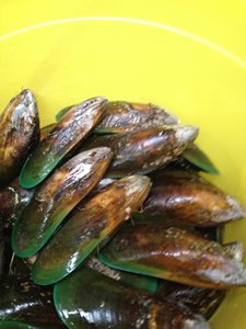 cid:image006.jpg@01D00CE3.2784ABA0