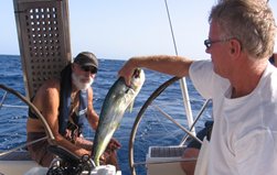m_IMG_0153.jpg