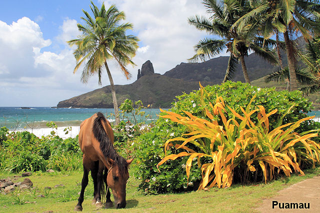 Hiva Oa_Paumau_Marquises