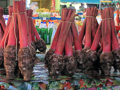 Etoiledelune_Tahiti_Taro