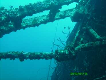 m_PICT0026.jpg