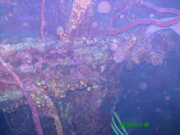 m_PICT0030.jpg