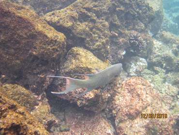 m_IMG_5425.jpg