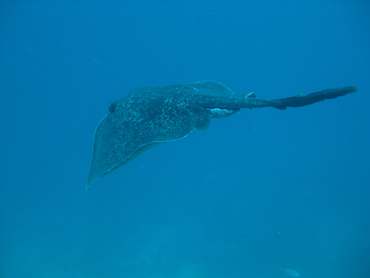 m_IMG_9681.jpg