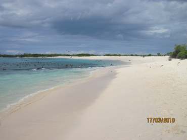 m_IMG_5525.jpg