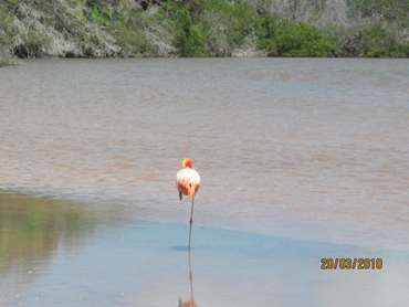 m_IMG_5719.jpg